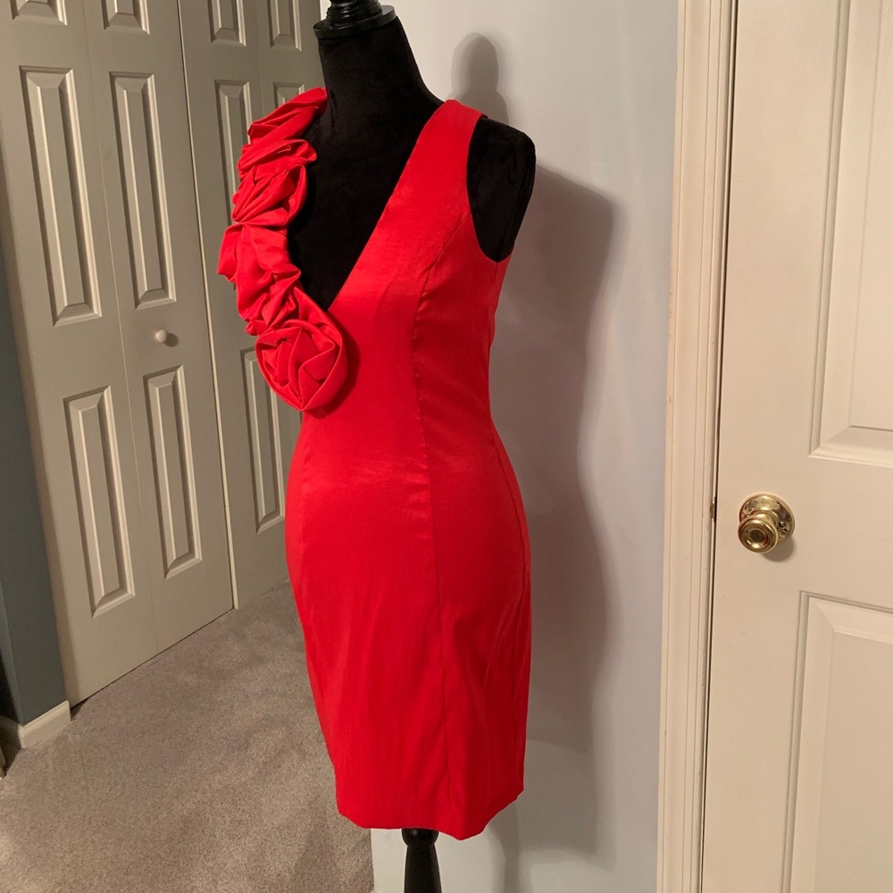 Cache Dress - image 4